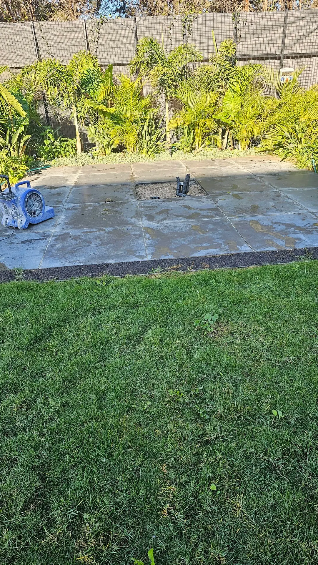 לפני- הברשה לאבן בזלת וסילר